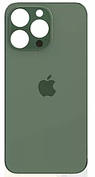 Задняя крышка корпуса Apple iPhone 13 Pro (big hole) Original Alpine Green
