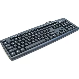 Клавіатура Genius KB-110 Black USB(31300700113) - мініатюра 2