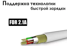 Кабель USB Jellico Durable (NY-10) USB 2.0/Type-C, 2 м White - миниатюра 3