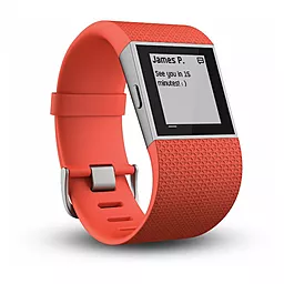 Смарт-годинник Fitbit Surge Small Red (FB501TAS) - мініатюра 5