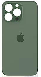 Задняя крышка корпуса Apple iPhone 13 Pro (big hole) Alpine Green