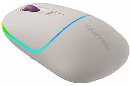 Комп'ютерна мишка Canyon MW-22 Rice (CNS-CMSW22RC)